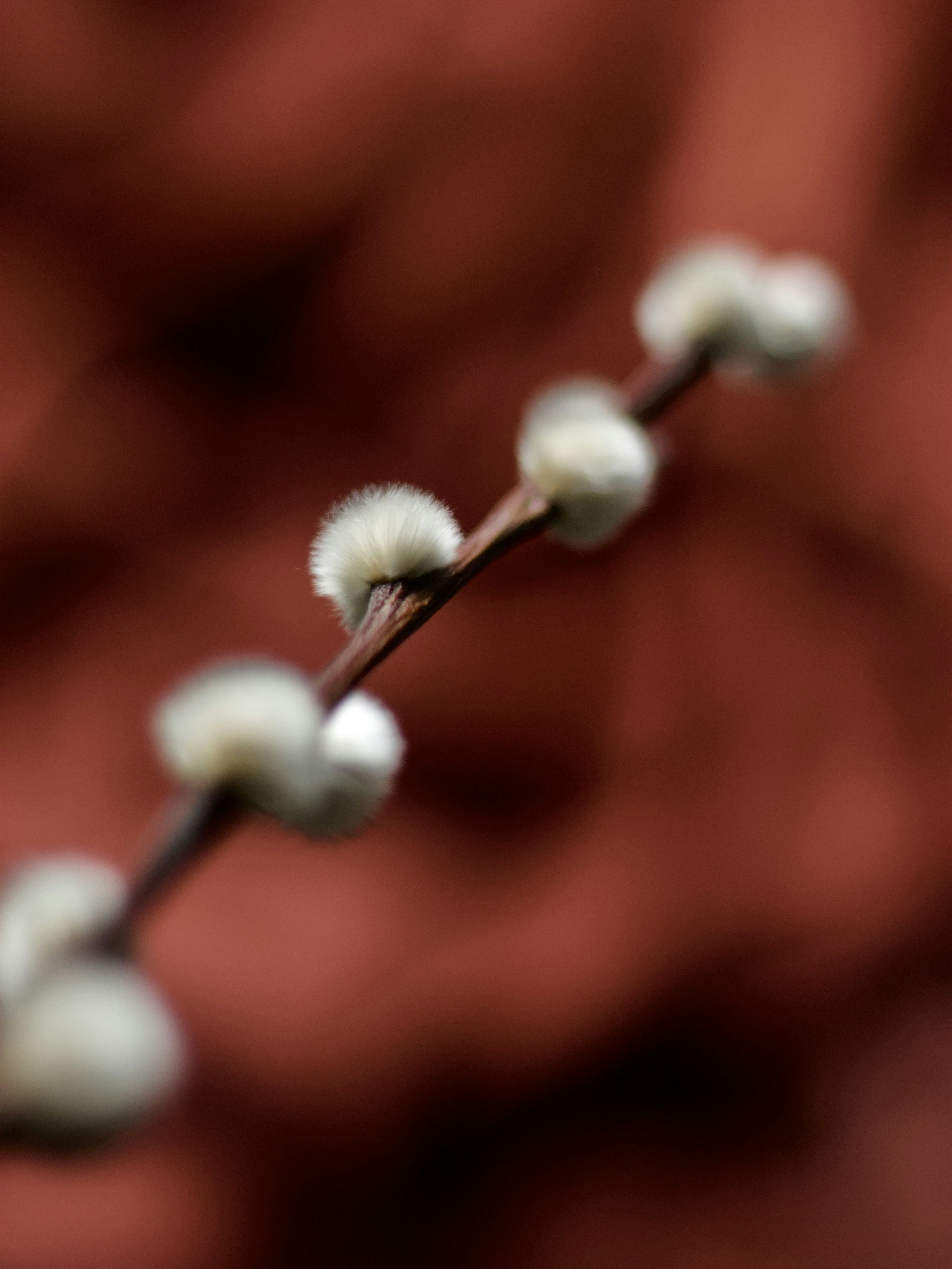 Photo by themiscellanista