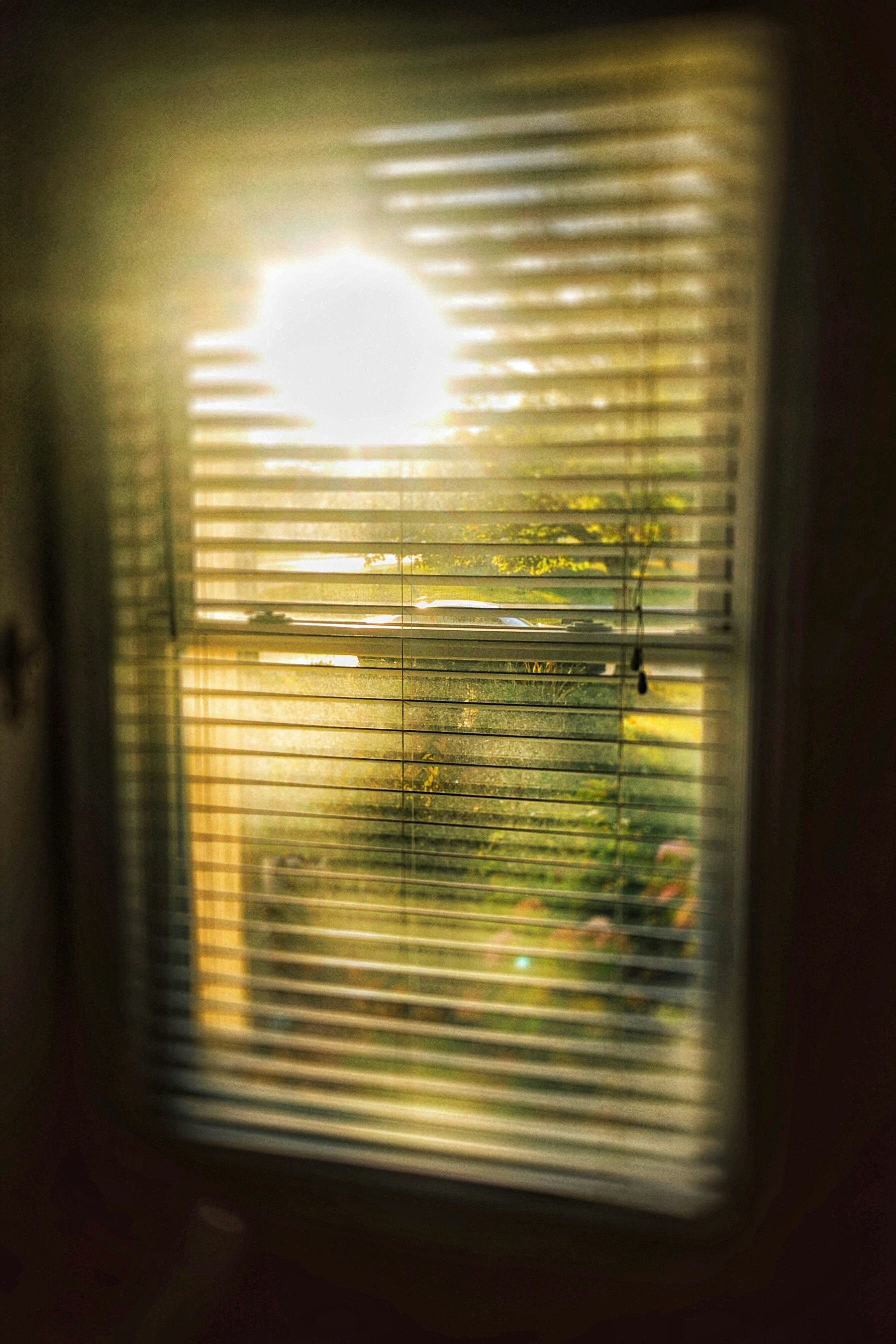 Bright kitchen window adorned with vibrant green blinds casting playful shadows.