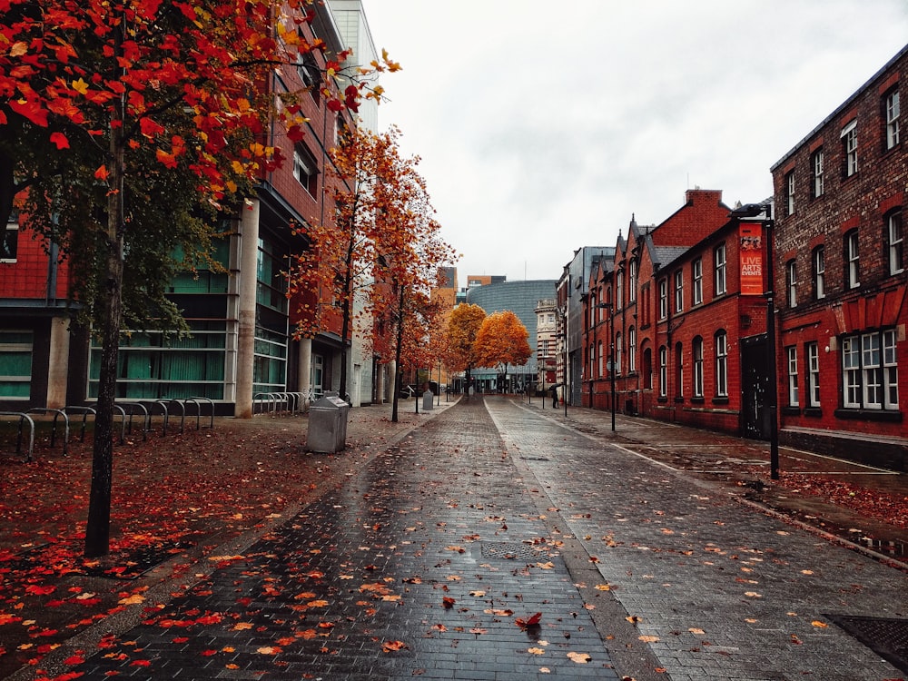 road near buildings during day