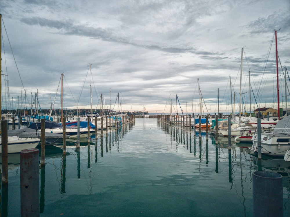 boats parked in a pier