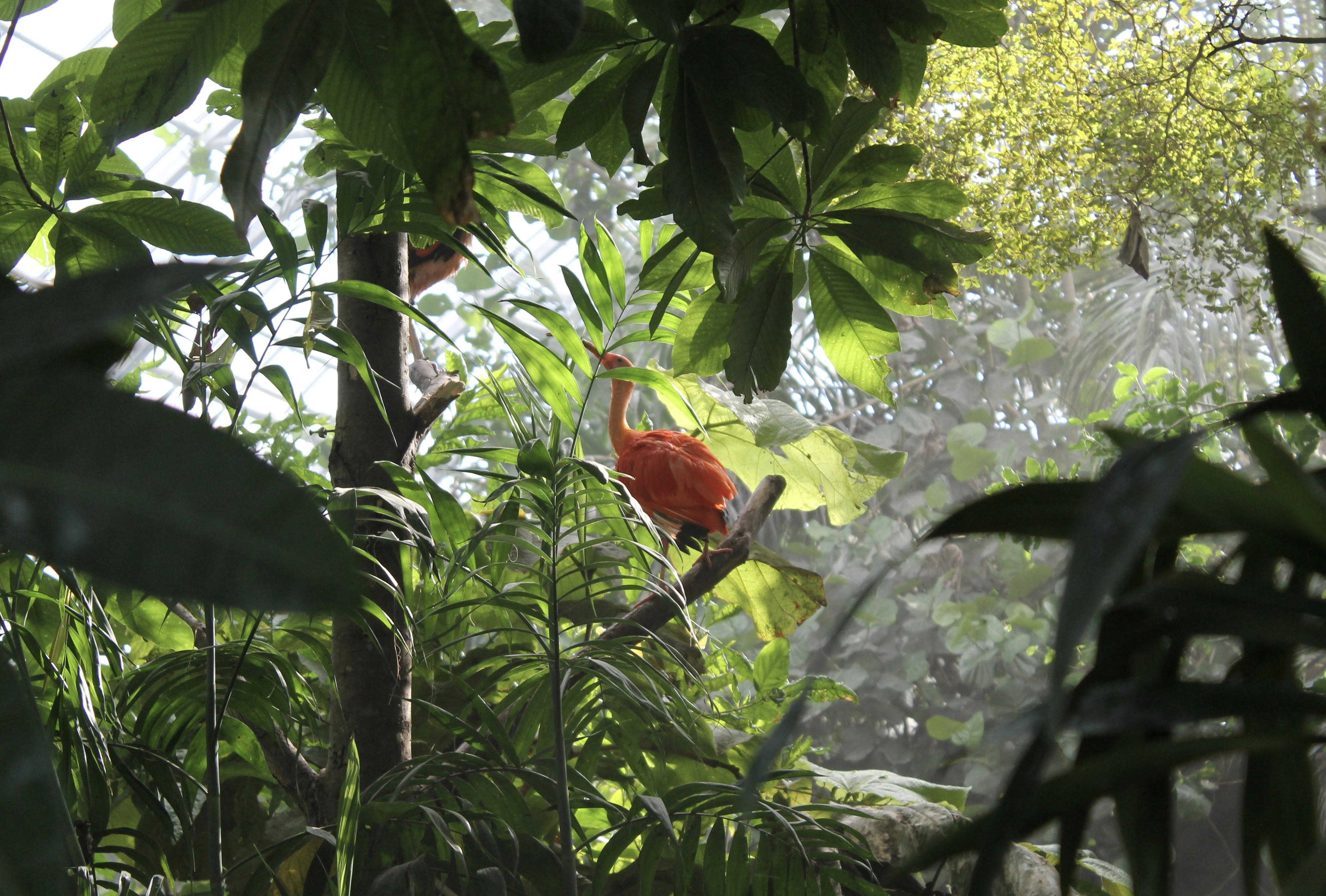 Photo by themiscellanista