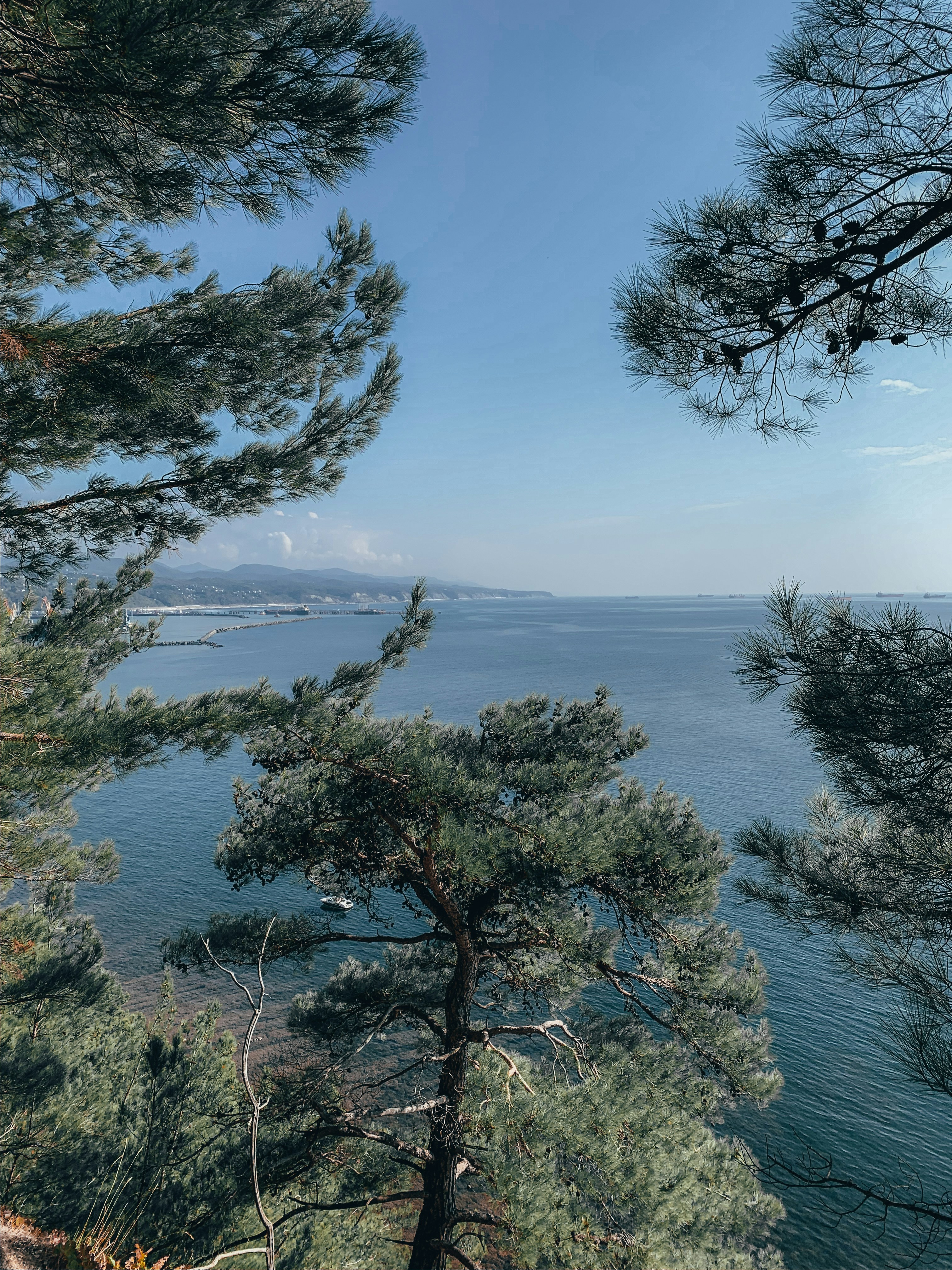 Photo by dentrushtin