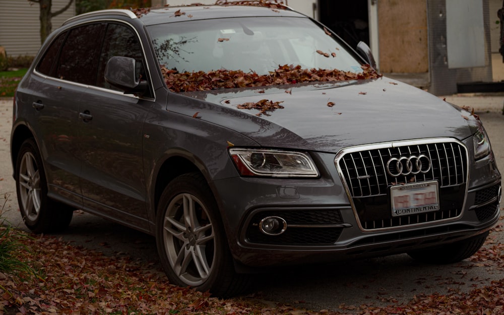 shallow focus photo of black Audi SUV