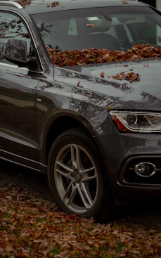 shallow focus photo of black car