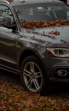 shallow focus photo of black car