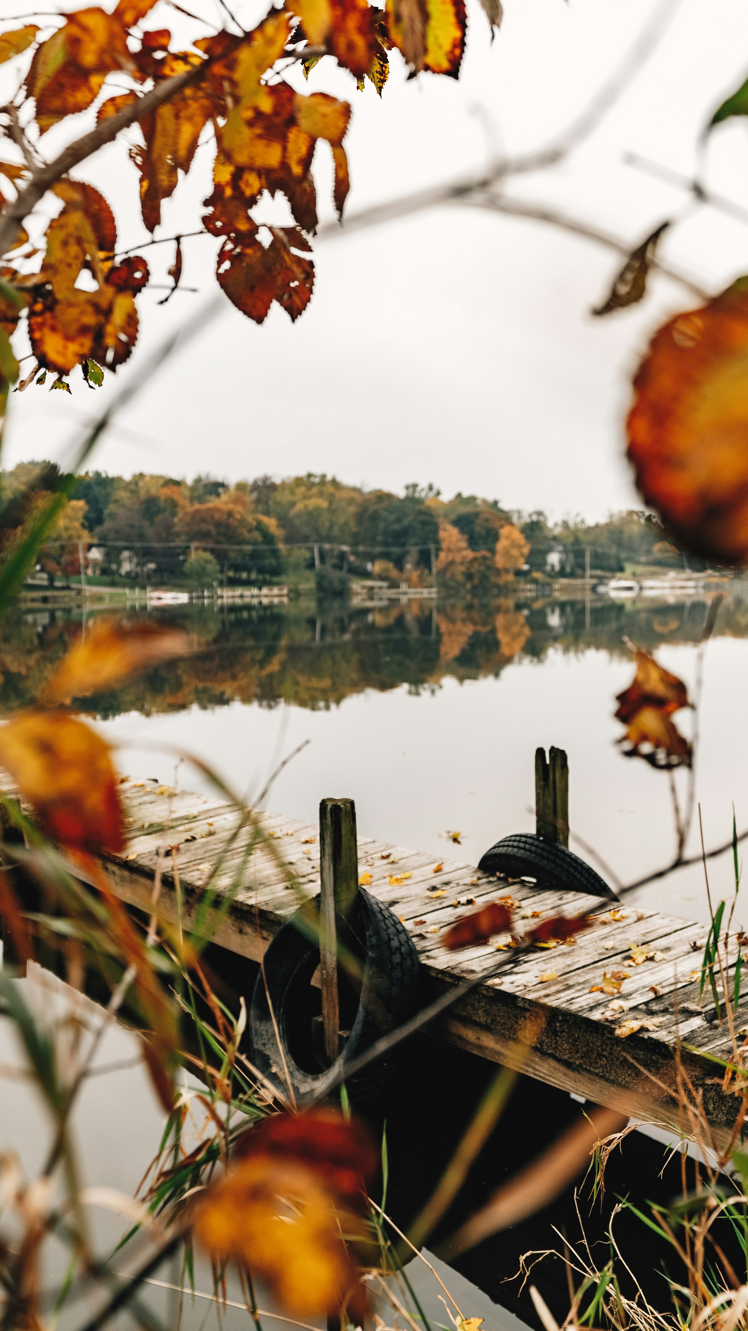 Photo by evanthewise