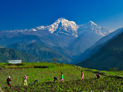 Nepal Guesthouse teahouse trekking Himalaya