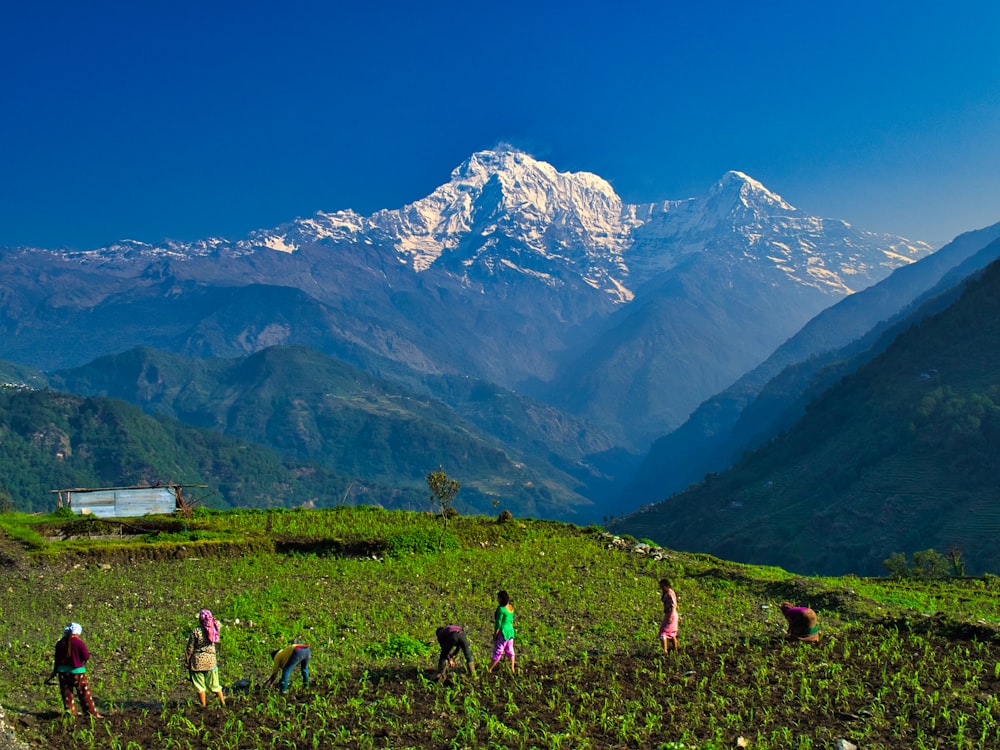 people on grass field during daytime