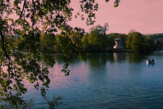 green trees beside calm body of water in Parc de la Tête d'Or France