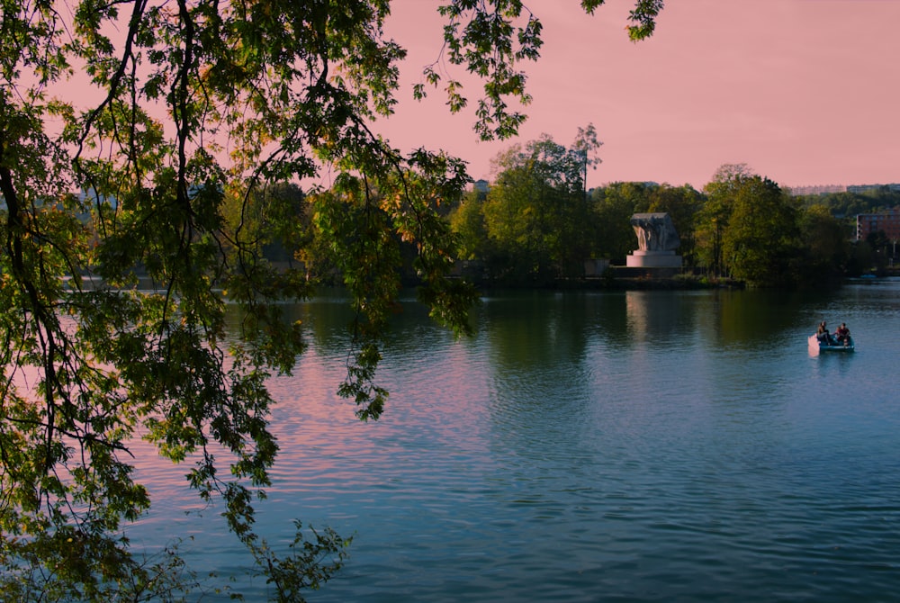 green trees beside calm body of water