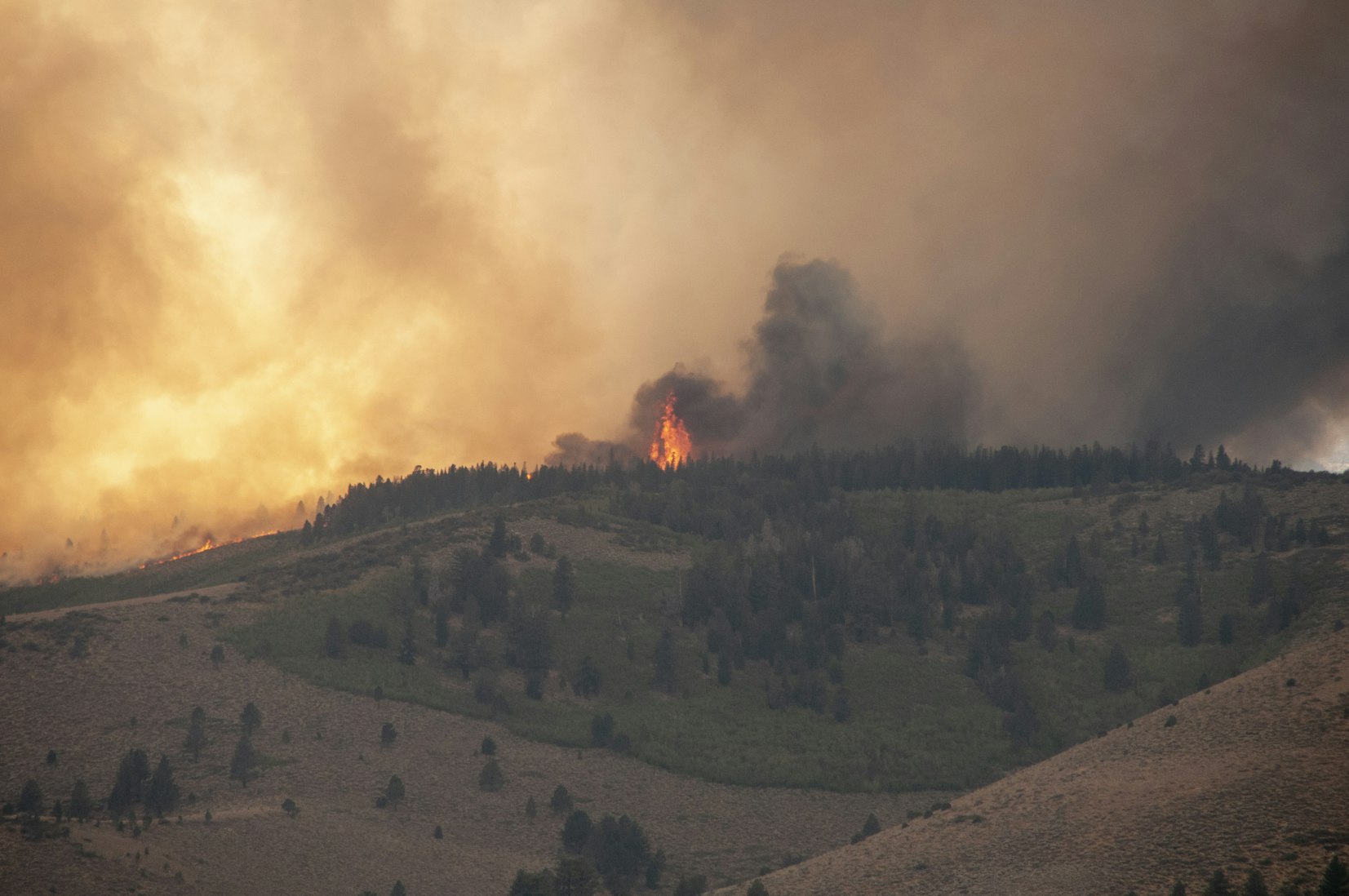 After Years of Political Gridlock, Oregon’s Fire Disaster Brings ‘New Reality’