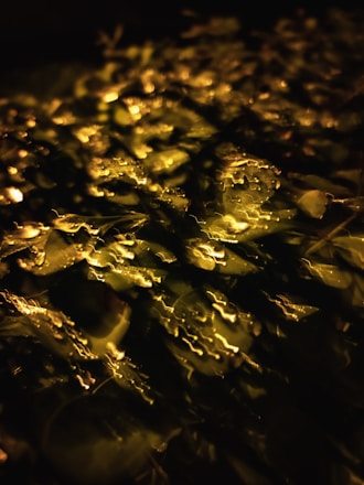 a close up of water droplets on a surface