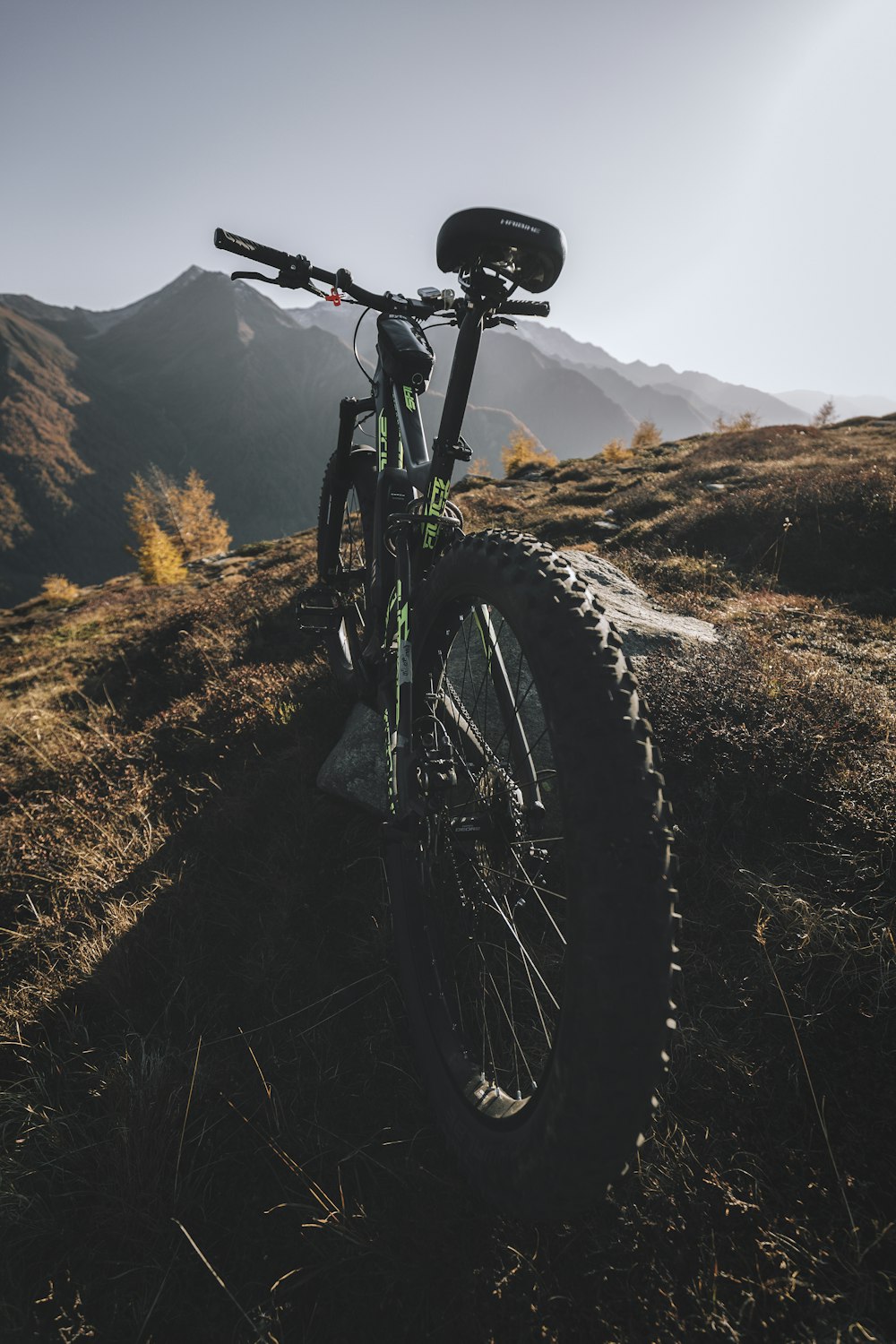 vélo noir et vert