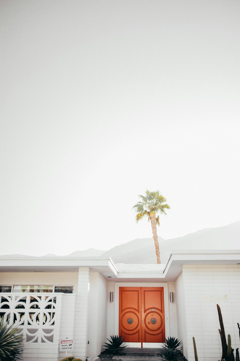 palm tree behind white house with brown door