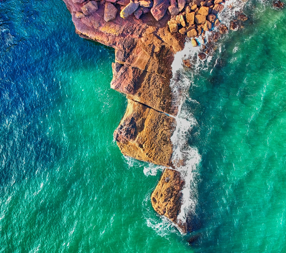 aerial photo of green water