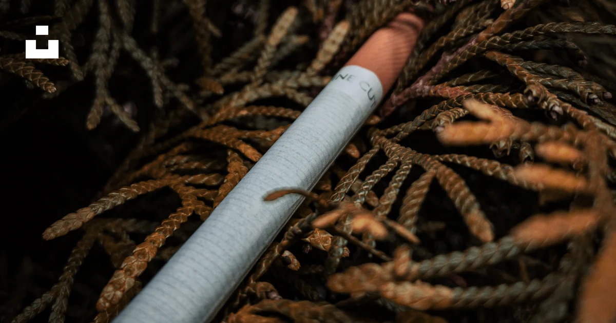 Single Use Cigs Single cigarette stick photo – Free Art Image on Unsplash