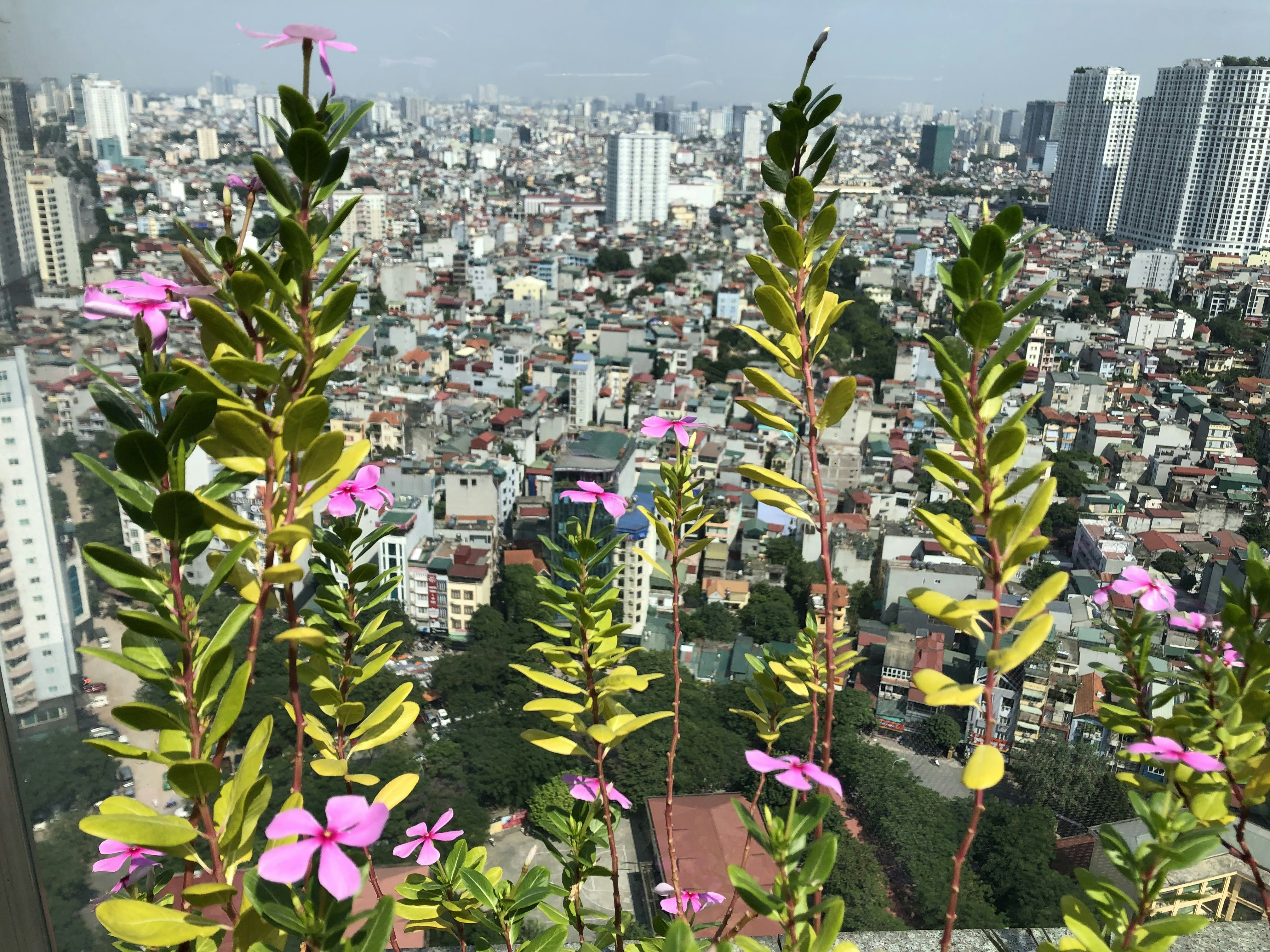 SULPHUR passport office