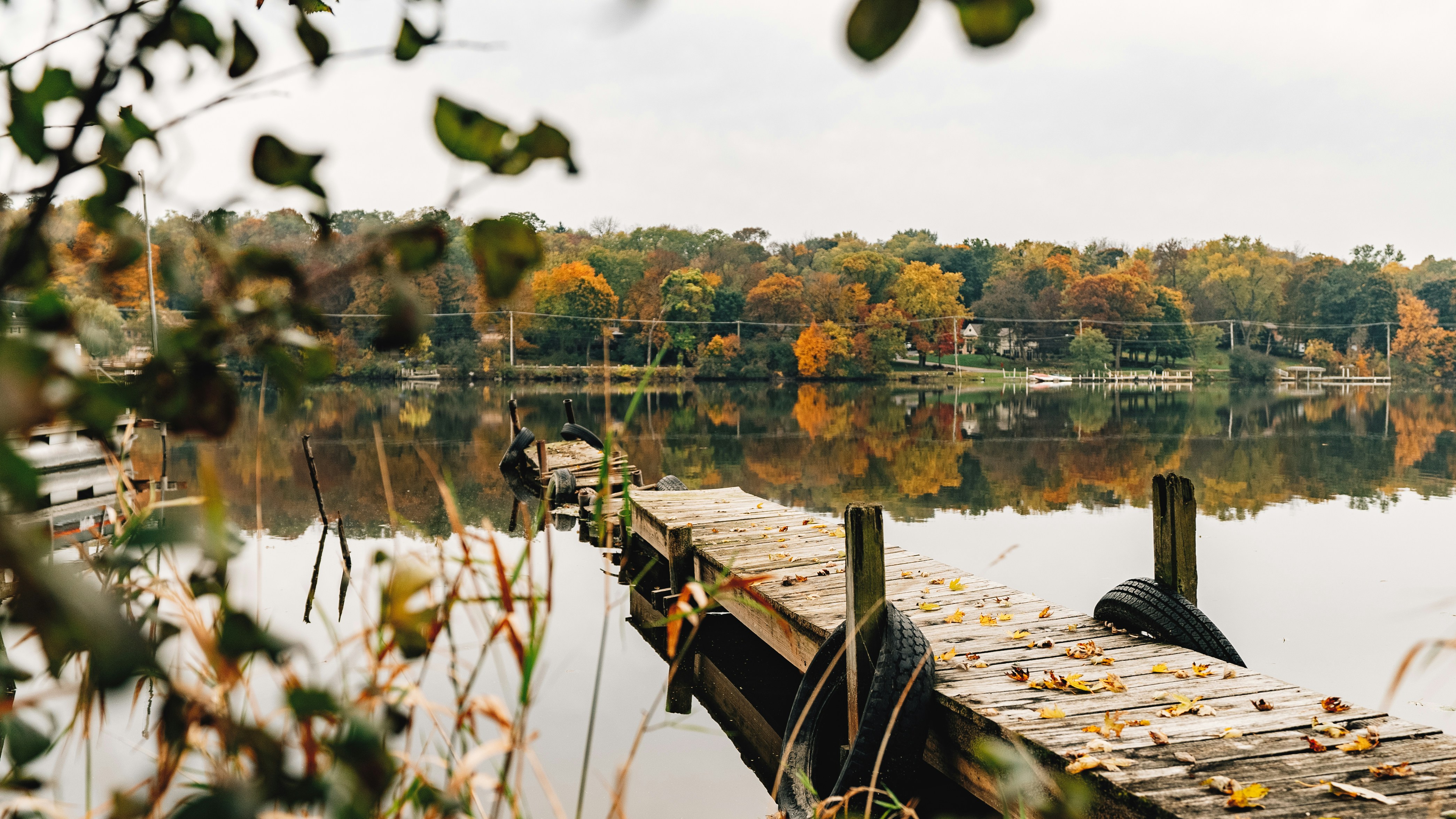 Photo by evanthewise