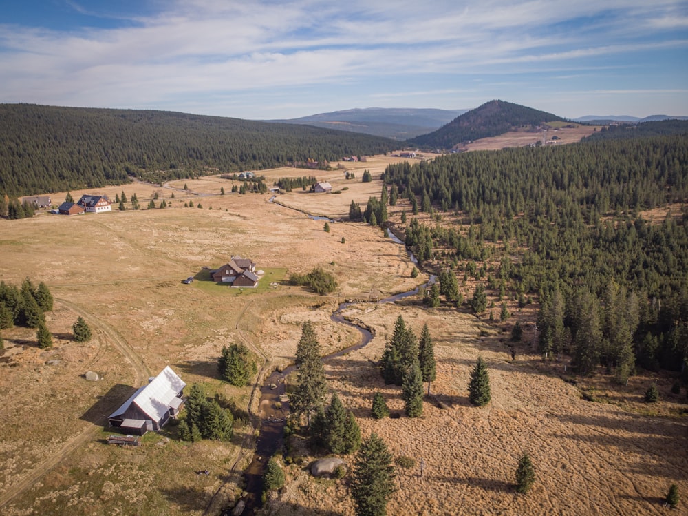 top view of house and trees