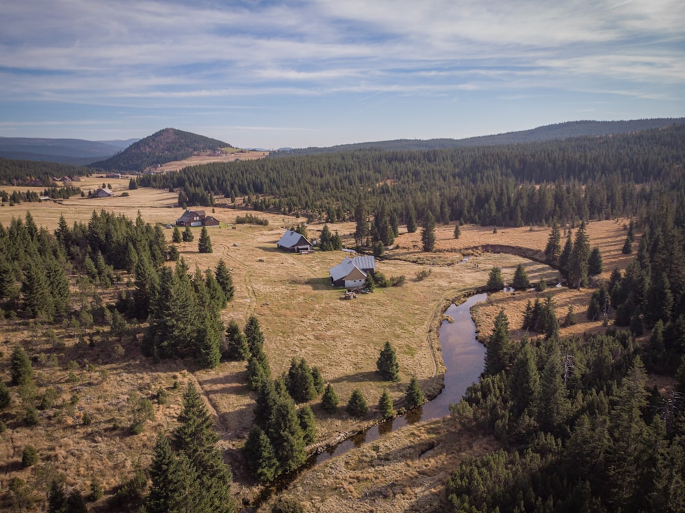 aerial photo of cabins near green trees