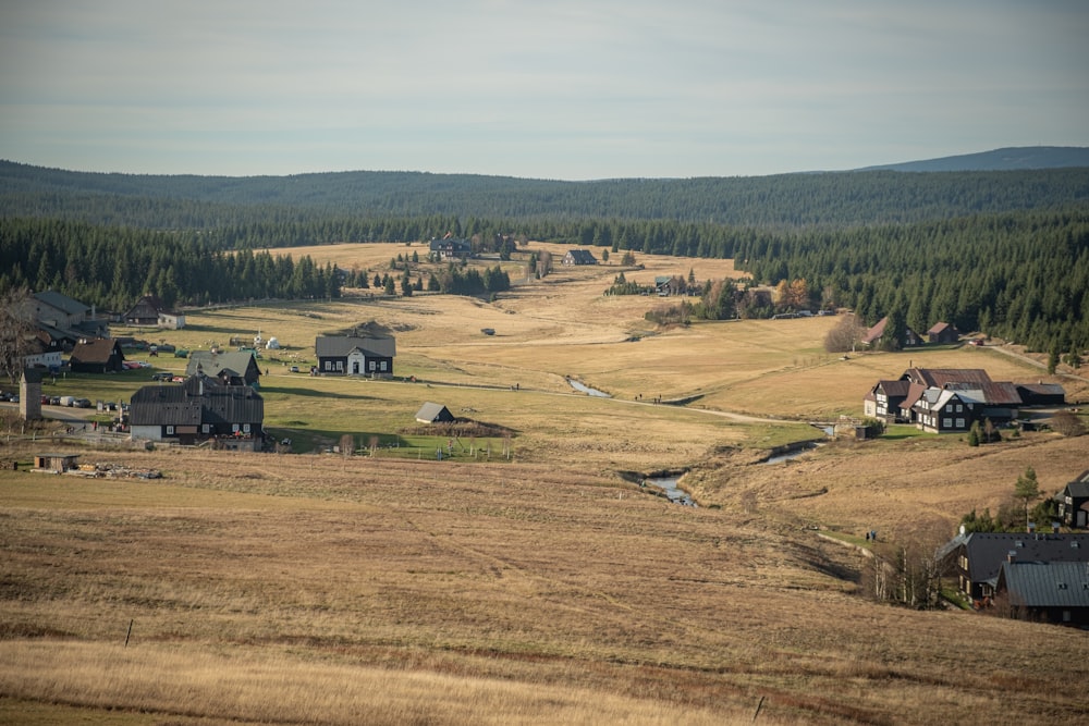 cabins near green trees during daytime