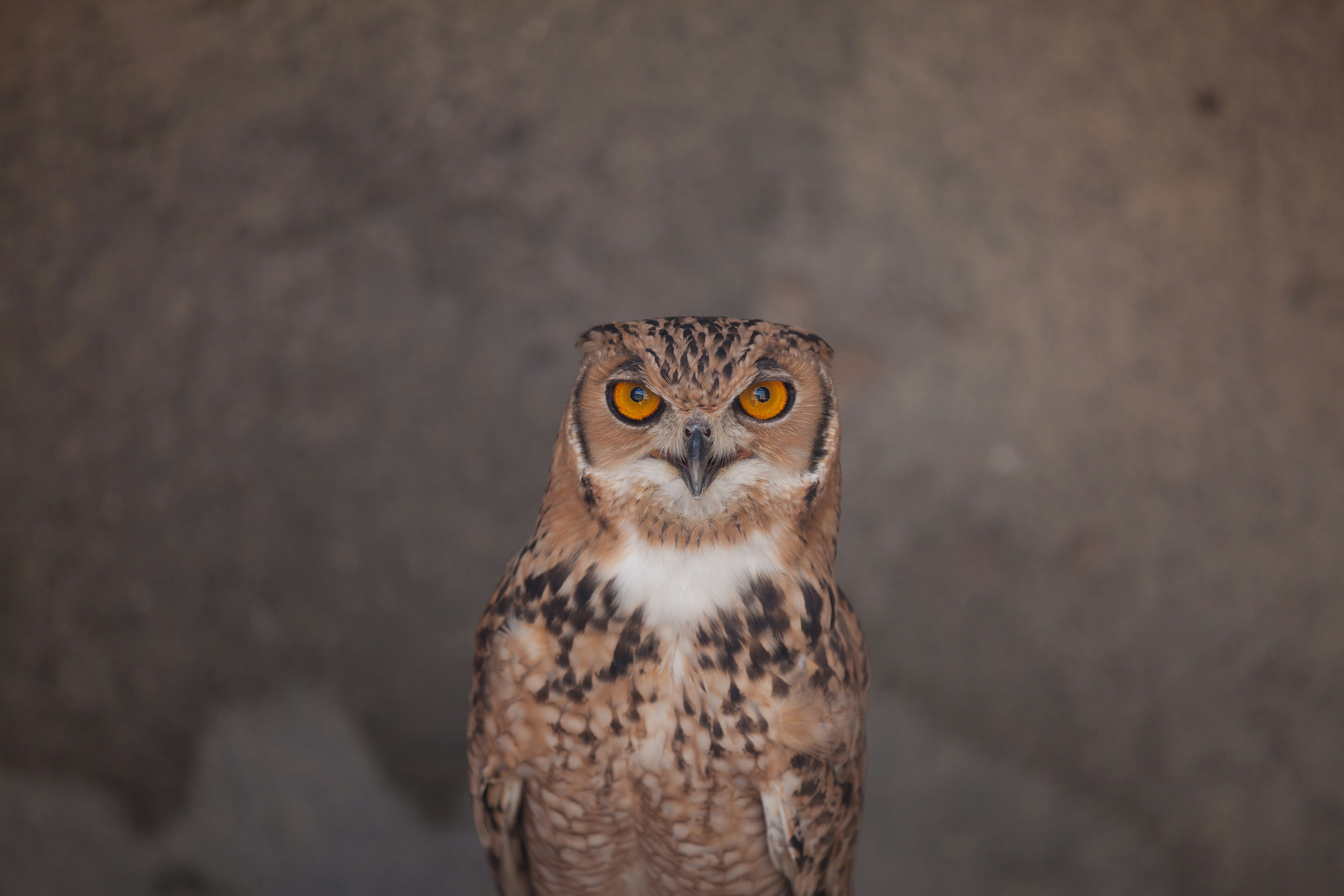 Photo by franzwaroux