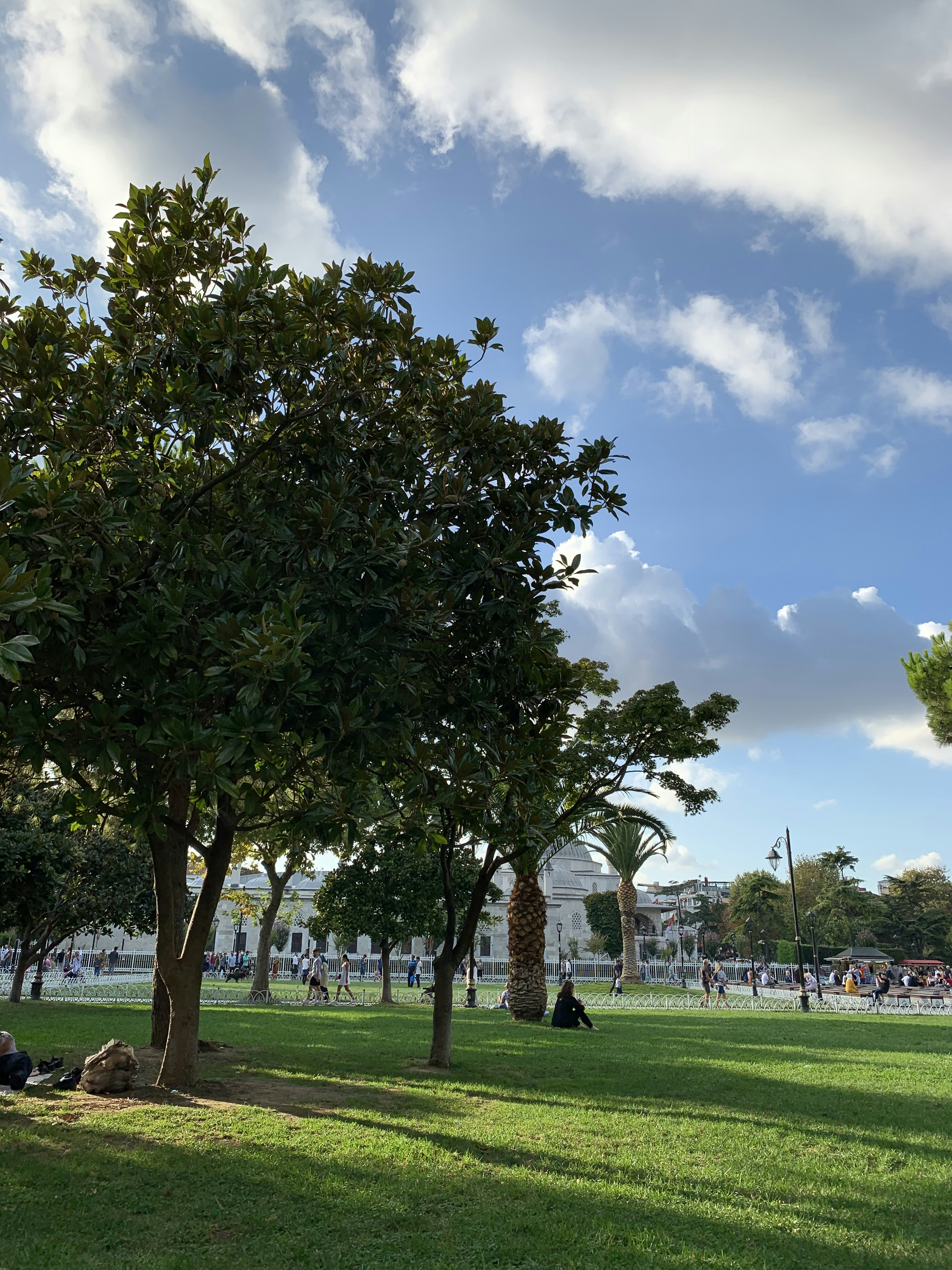 Green public park, sunny day, open grass area, trees in background