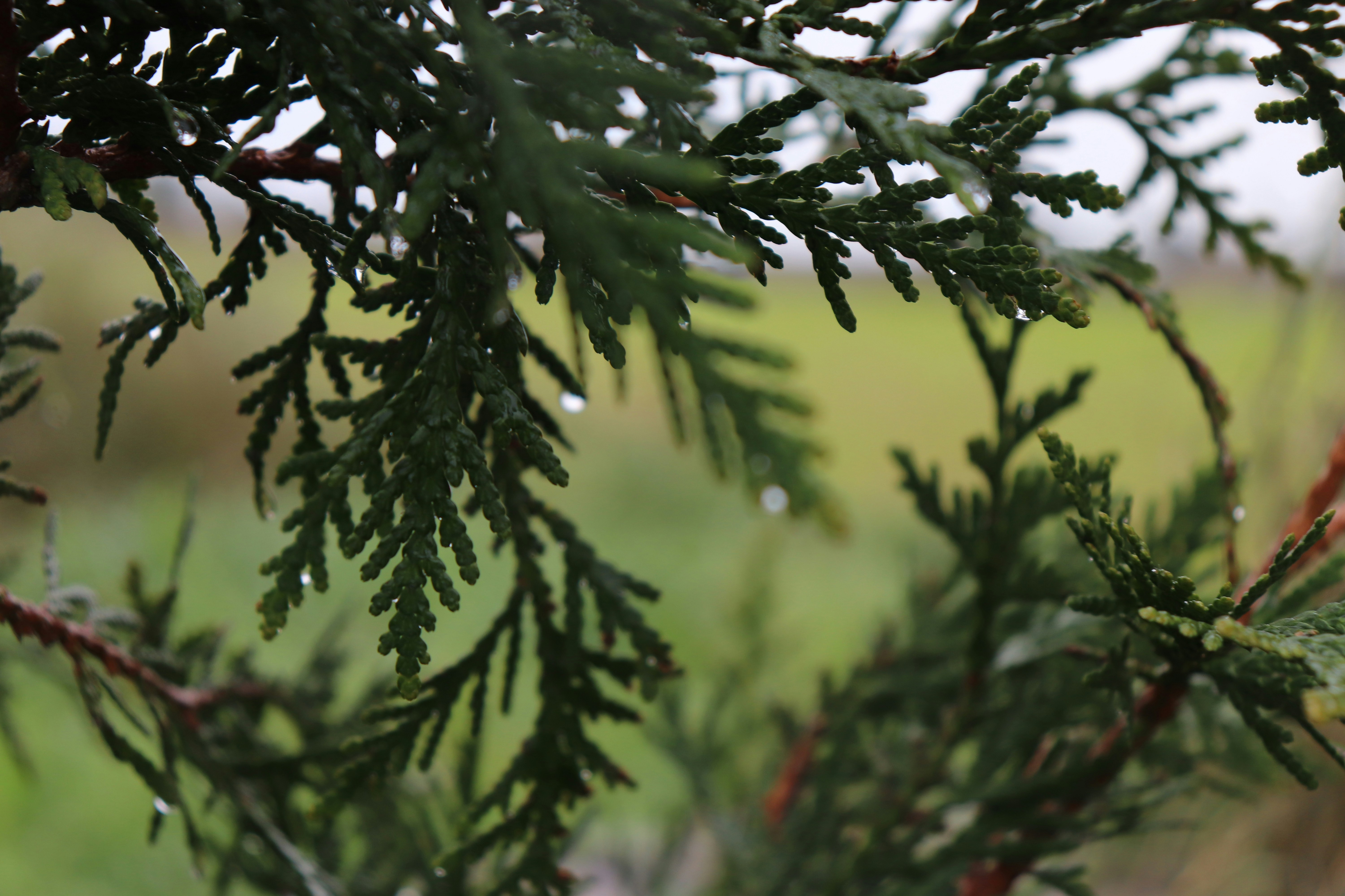 Photo by antonio11202