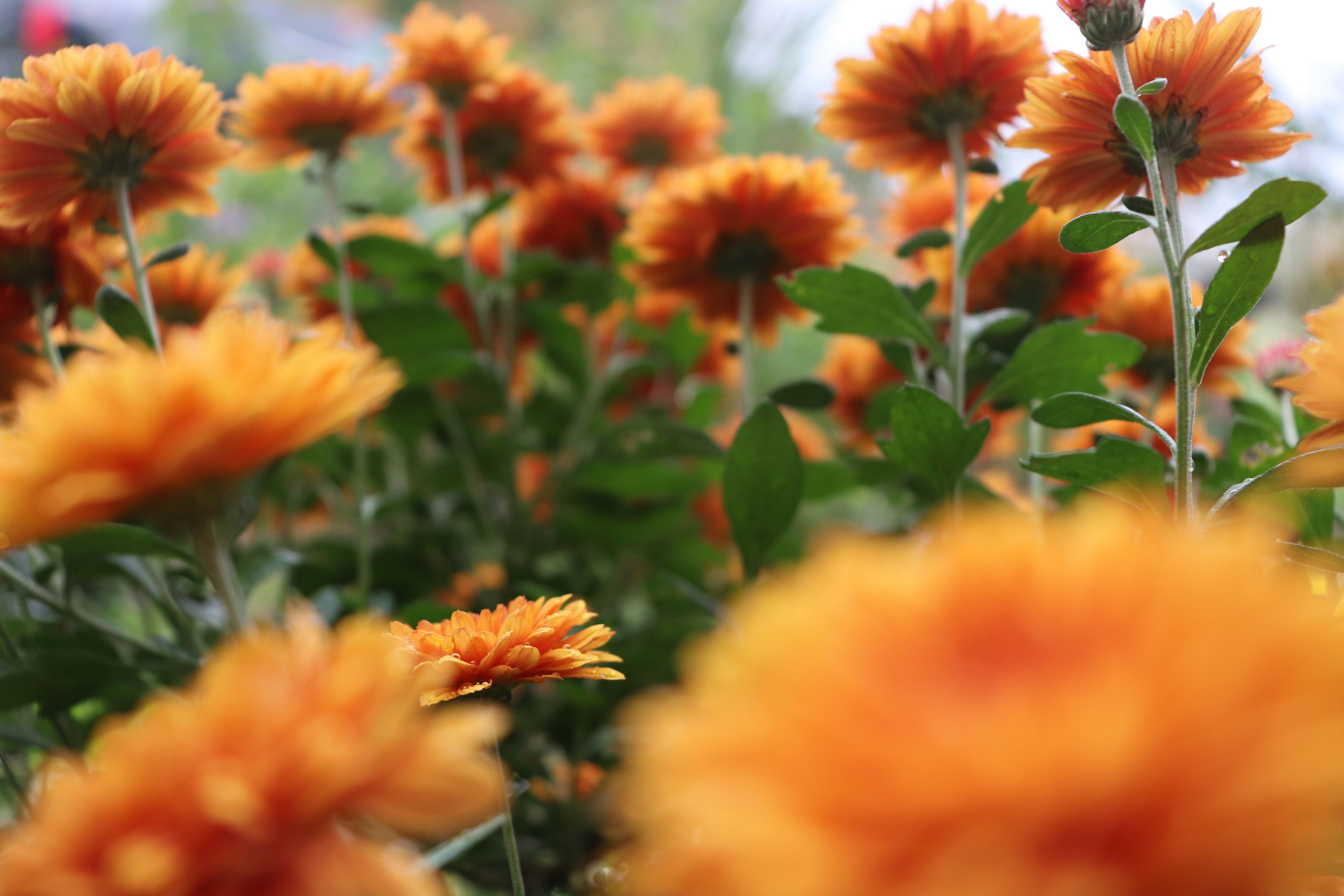 Photo by antonio11202