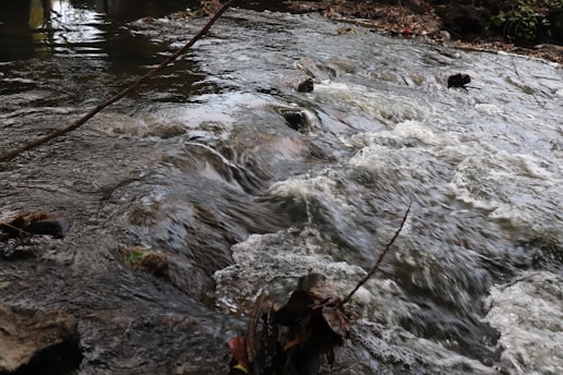 A flowing stream with clear, rushing water surrounded by rocks and branches. Leaves and twigs can be seen on the water's surface and along the edges. The water appears to be moving swiftly, creating small ripples and waves.
