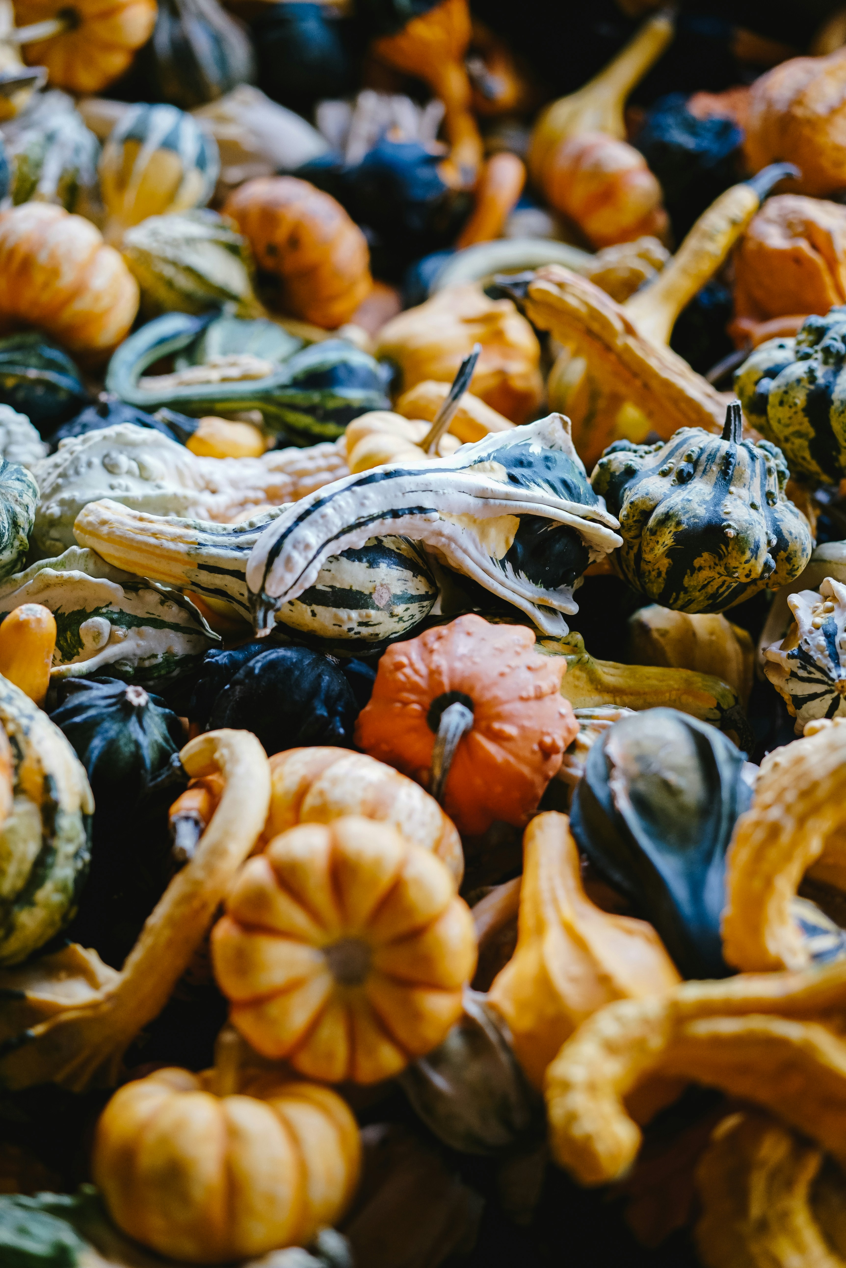 Photo by philhearing