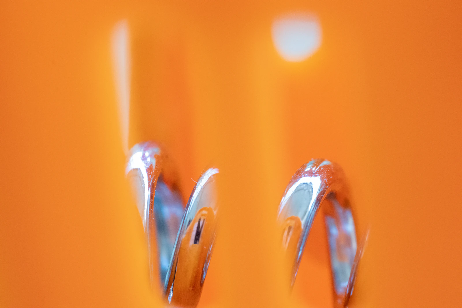A close-up of a pair of wedding rings, the kind of detail spread that opens an album