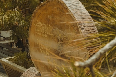 A large, circular wooden structure with engraved text is surrounded by green foliage. The surface of the wood is textured and displays rings indicative of tree age. Leaves partially obscure the view, adding a natural and rustic feel.