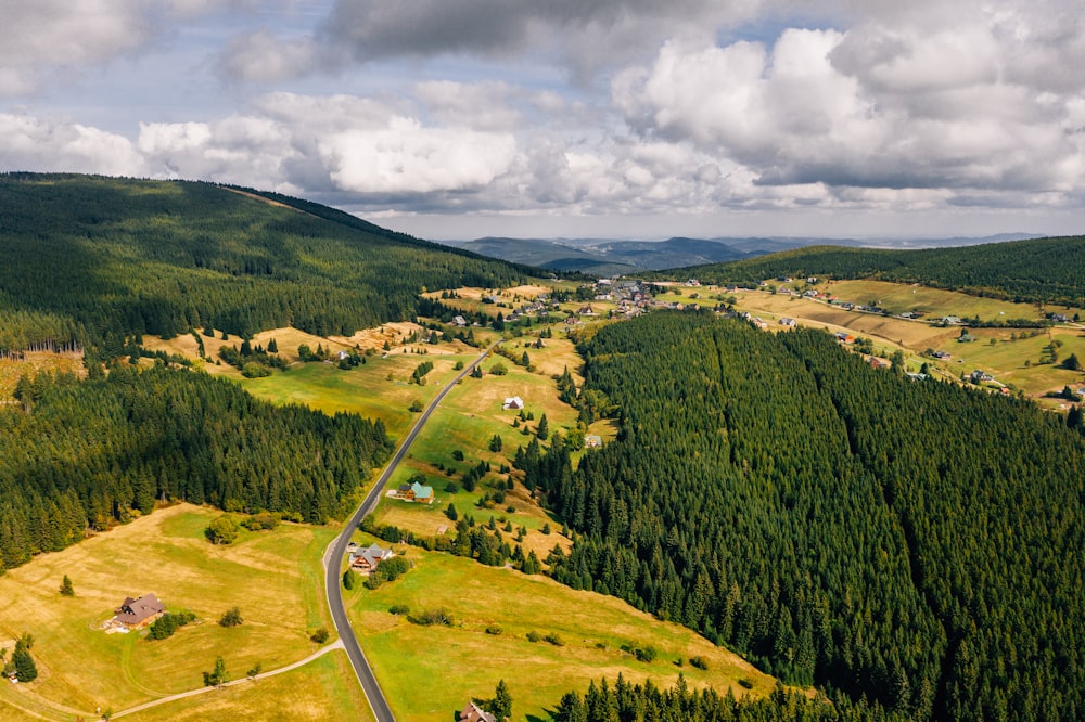 aerial view of trees during daytime