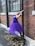A ballerina wearing a purple tutu is posing gracefully next to a brick wall. Her arms are extended back, holding onto a pole. She stands on pointe, and fallen leaves are scattered on the ground.