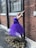 A ballerina wearing a purple tutu is posing gracefully next to a brick wall. Her arms are extended back, holding onto a pole. She stands on pointe, and fallen leaves are scattered on the ground.