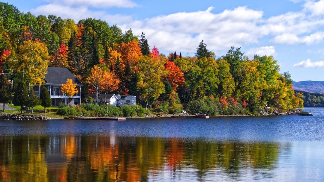 Nature reserve photo spot Piopolis Coaticook