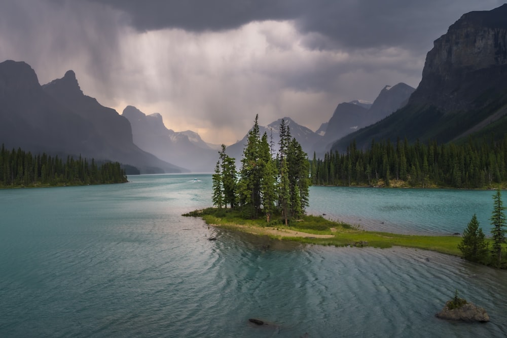 green-leafed trees surrounded with body of water