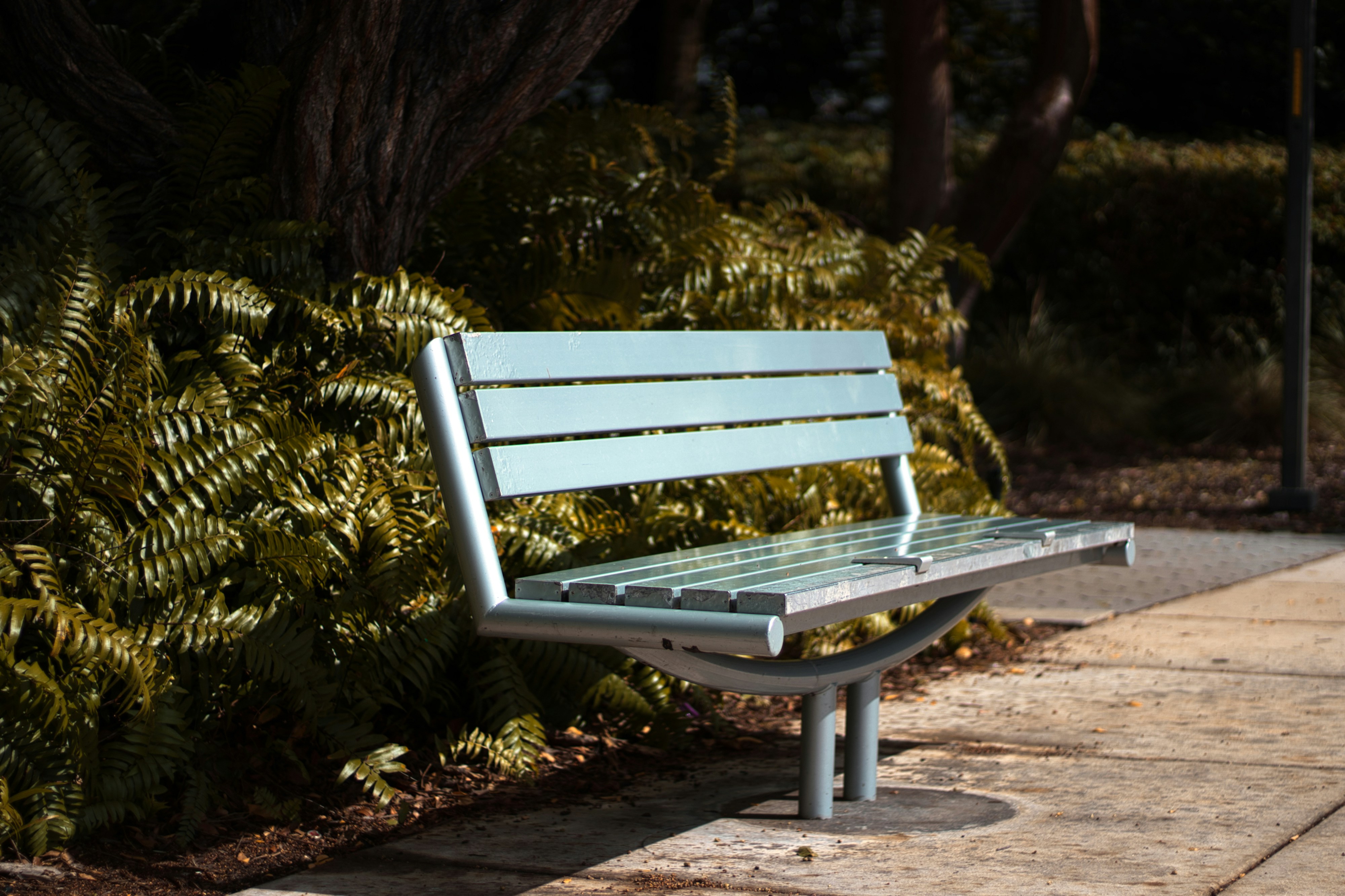 Photo by mimidicianni