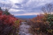 A scenic Appalachian mountain trail winding through colorful fall foliage, evoking the setting of many stories.