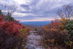 A scenic Appalachian mountain trail winding through colorful fall foliage, evoking the setting of many stories.