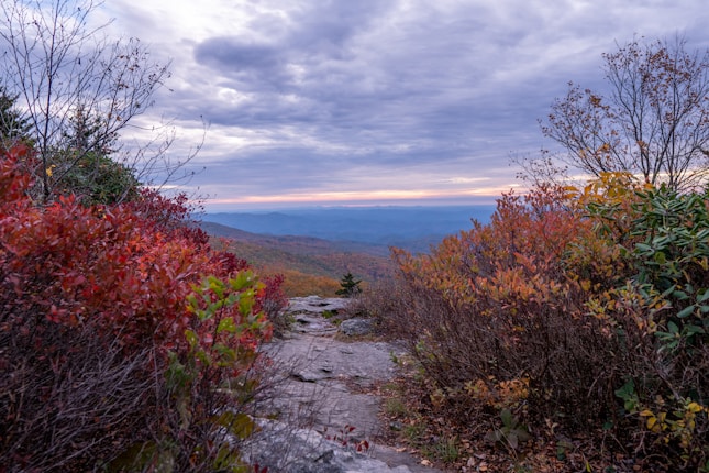 A pathway lined with colorful autumn foliage leads to a scenic vista of distant mountains under an expansive, cloud-covered sky. The vibrant red, orange, and green leaves contrast with the grayish tones of the rock path and the sky.