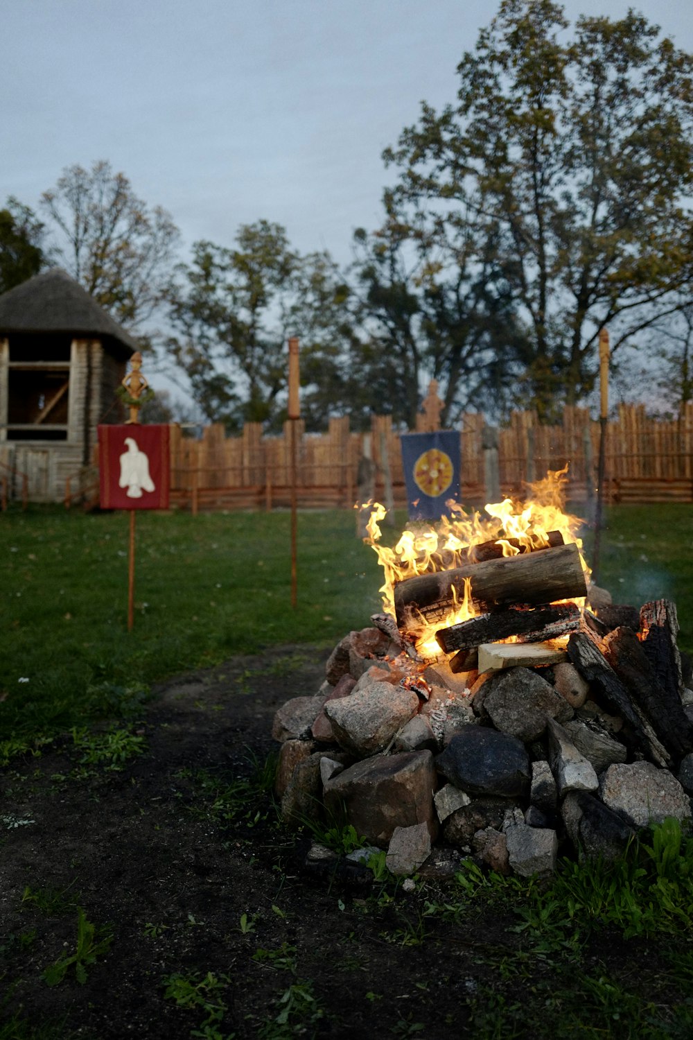 firewood burning on a bonfire