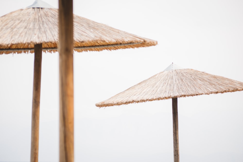 two brown tiki umbrellas