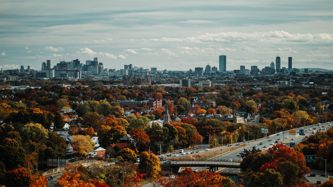 aerial photography of trees and buildings in the city, An autumn view of Boston from the Fells