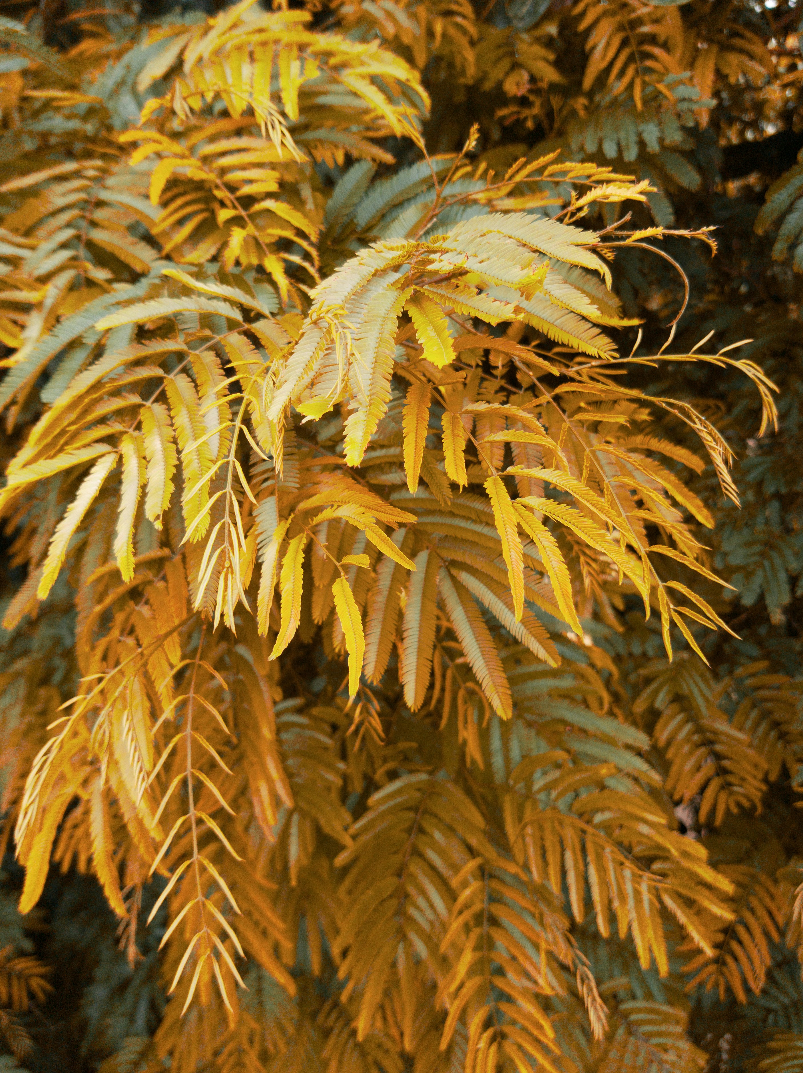 Photo by washingtonolv