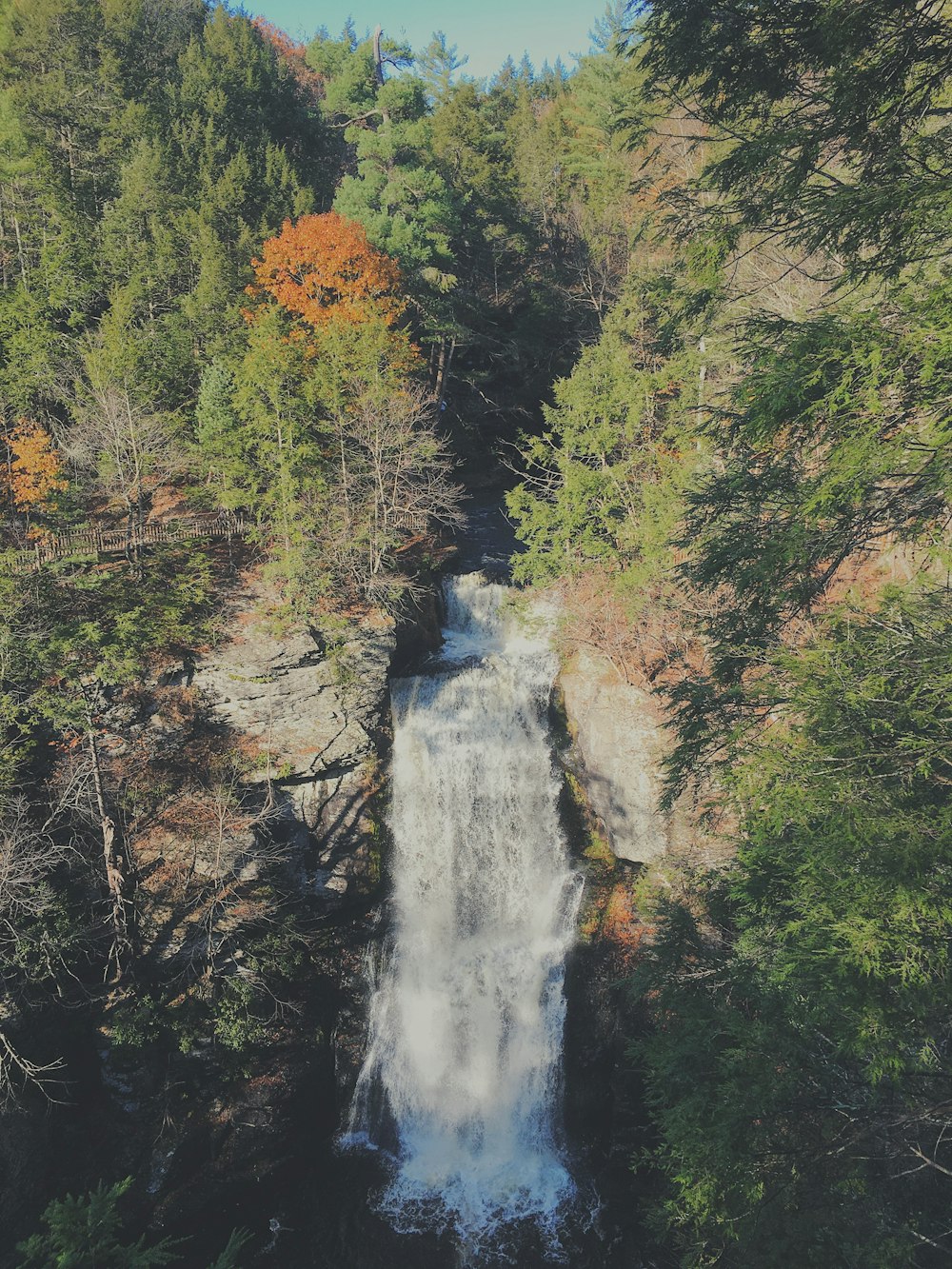 waterfalls between trees