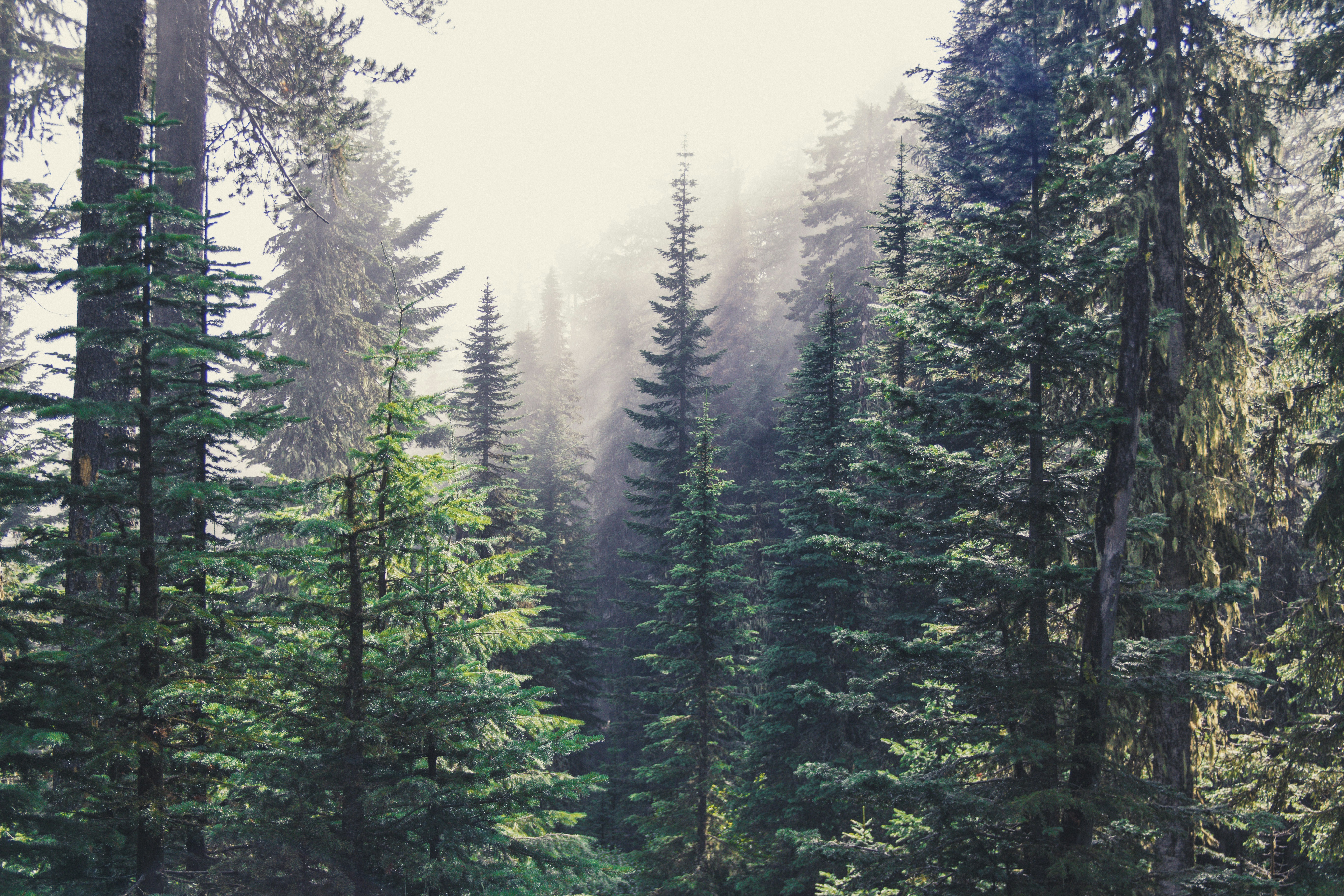 Photo by captaindavida