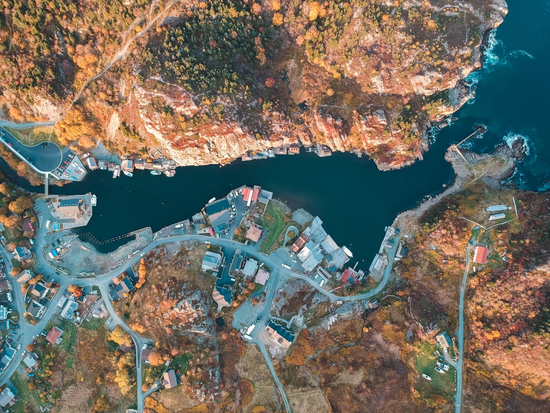 photo of St. John's Coast near Cape Spear