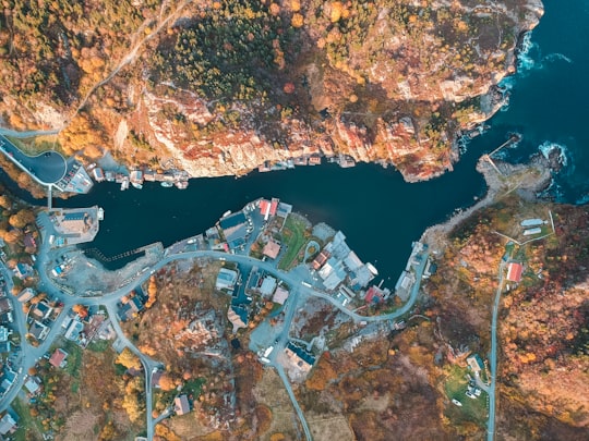 aerial view of body of water between buildings in St. John's Canada